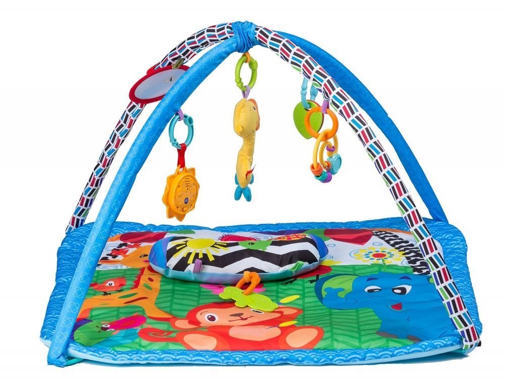 Tegelustekk EcoToys, 27286 hind ja info | Tegelustekid | kaup24.ee