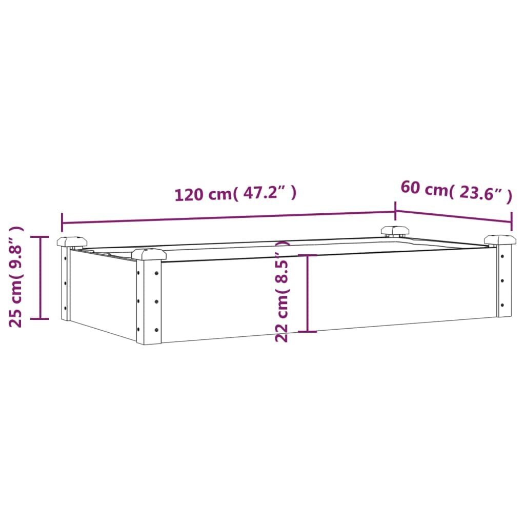 Voodriga aia taimelava vidaXL, 120 x 60 x 25 cm цена и информация | Lillekastid | kaup24.ee