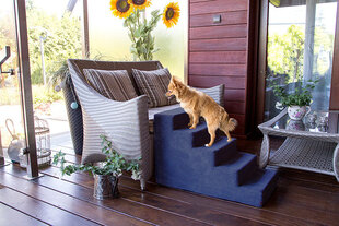 Лестница для собак Nevada 50 см графит цена и информация | Лежаки, домики | kaup24.ee