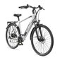 Elektrijalgratas Telefunken Trekking E-Bike Expedition XC941, hall цена и информация | Elektrirattad | kaup24.ee