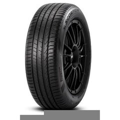 Pirelli Scorpion 255/45 R19 100V цена и информация | Летняя резина | kaup24.ee