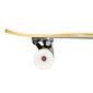 Rula Longboard Master 42 Maple, 107 cm hind ja info | Rulad | kaup24.ee