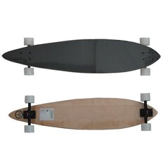 Скейтборд Longboard Master 41 Maple 104 см цена и информация | Скейтборды | kaup24.ee