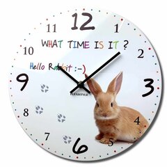 Настенные часы с принтом - Здравствуй, зайчик цена и информация | Часы | kaup24.ee