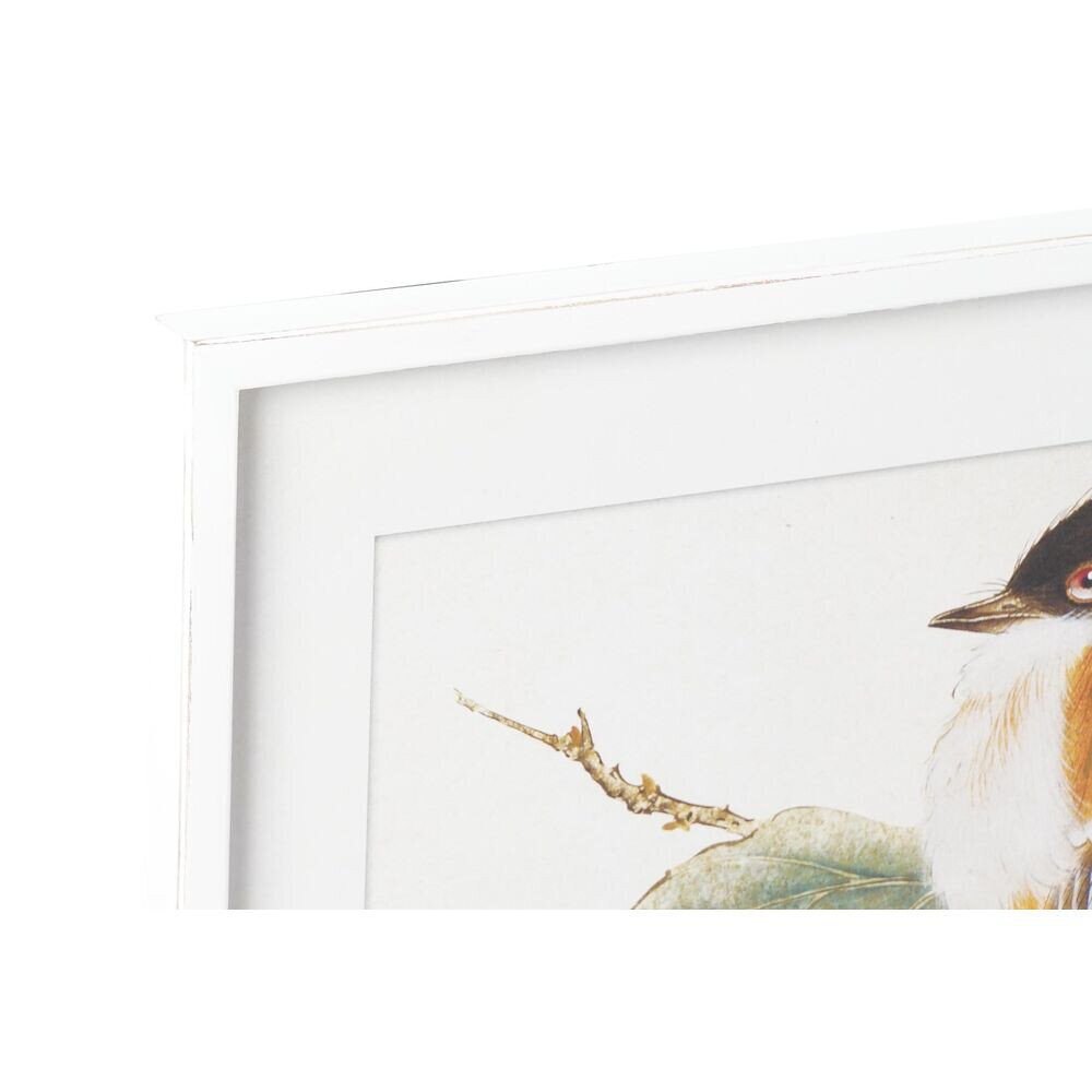 Seinapilt DKD Home Decor 60 x 2,5 x 60 cm Ptak Shabby Chic (4 tk) hind ja info | Seinapildid | kaup24.ee