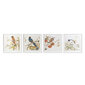 Seinapilt DKD Home Decor 60 x 2,5 x 60 cm Ptak Shabby Chic (4 tk) цена и информация | Seinapildid | kaup24.ee