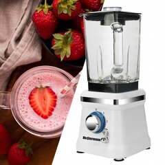 Blender Yoer Titano 4in1 XXL 1600 W цена и информация | Коктейльницы | kaup24.ee