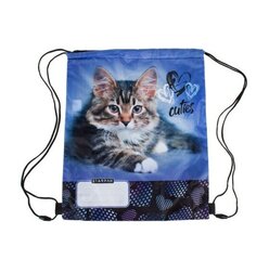 Sussikott / trennikott "Kitty" цена и информация | Рюкзаки и сумки | kaup24.ee