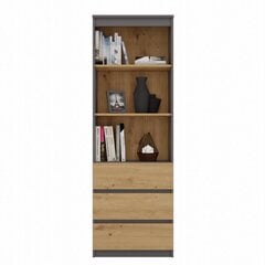 Офисный книжный шкаф Regal RS-60, цвет антрацит/крафтового дуба цена и информация | Шкафы | kaup24.ee