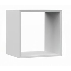 Функциональная вставка для стеллажей Malax, 30x35x35 см, белый матовый цена и информация | Полки | kaup24.ee