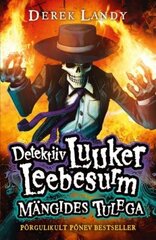 Detektiiv Luuker Leebesurm: mängides tulega цена и информация | Книги для малышей | kaup24.ee