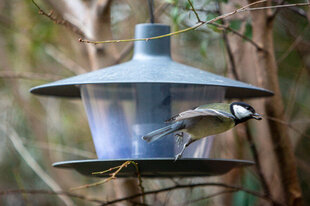 Lindude söötja Finch, läbimõõt 28 cm hind ja info | Pesakastid, söötjad ja puurid | kaup24.ee