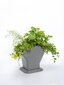 Vertikaalne isekastmisega lillepott Tree 77x31cm hind ja info | Dekoratiivsed lillepotid | kaup24.ee