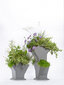 Vertikaalne isekastmisega lillepott Tree 77x31cm hind ja info | Dekoratiivsed lillepotid | kaup24.ee
