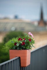 Rõdu lillepott piirdele automaatse kastmisega Berberis 30x26 cm hind ja info | Dekoratiivsed lillepotid | kaup24.ee