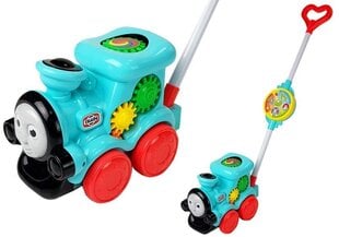 Поезд толкатель для ребенка цена и информация | Игрушки для малышей | kaup24.ee