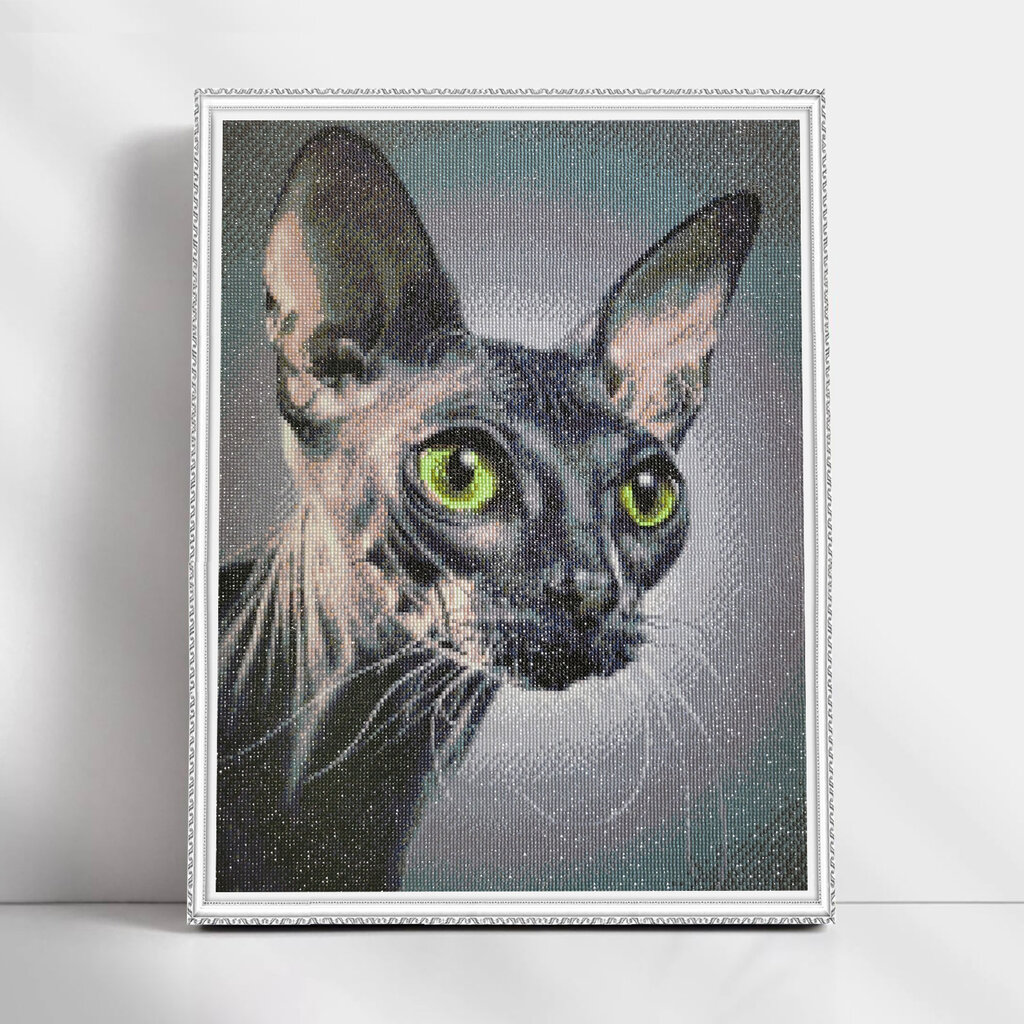 Teemantmosaiik TM Värvikas, mõõdud 50x65 cm "Sphynx Cat" LMC034e цена и информация | Teemantmaalid, teemanttikandid | kaup24.ee