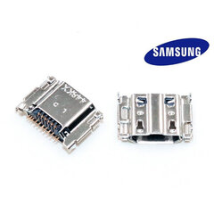 Планшет SAMSUNG Galaxy Tab4 SM-T700, T705C, T800, T805 Micro USB для зарядки / разъем цена и информация | Аксессуары для компонентов | kaup24.ee