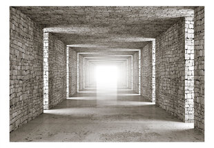 Фотообои с инструментом и клеем - 3d каменный туннель, 400x280 см цена и информация | Фотообои | kaup24.ee