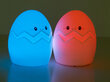 LED öölamp patareidega Egg hind ja info | Lastetoa valgustid | kaup24.ee