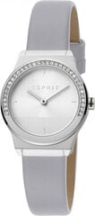 Женские часы Esprit ES1L091L0015 цена и информация | Женские часы | kaup24.ee