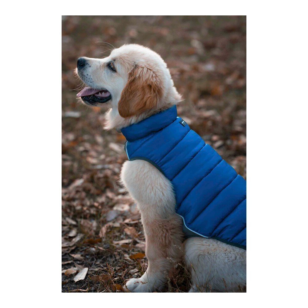 Koera mantel Red Dingo Puffer, sinine hind ja info | Riided koertele | kaup24.ee