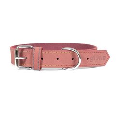 Собачий ошейник Gloria Oasis Розовый (1,5 x 40 cm) цена и информация | Ошейники, подтяжки для собак | kaup24.ee