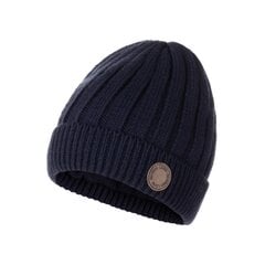 Детская шапка Rema Lenne 23389 B*229, тёмно-синяя, 4741593446696 цена и информация | Шапки, перчатки, шарфы для мальчиков | kaup24.ee