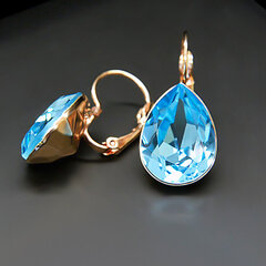 Naiste kõrvarõngad Diamond Sky „Crystal Drop II (Aquamarine Blue)“ koos Swarovski kristallidega DS00A166 hind ja info | Kõrvarõngad | kaup24.ee