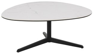 Кофейный столик Барнсли L, белый мрамор / черный цена и информация | Журнальные столики | kaup24.ee