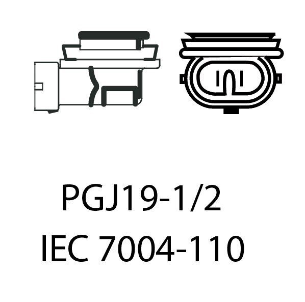 Auto LED Pirnid EinParts H8 6000K CanBus 12V - 2 tk цена и информация | Autopirnid | kaup24.ee