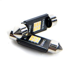 Auto LED Pirnid EinParts C10W Festoon 39mm 5000K CanBus 12V - 2 tk hind ja info | Autopirnid | kaup24.ee