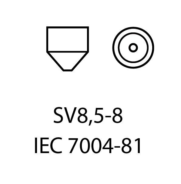 Auto LED Pirnid EinParts C5W Festoon 36mm 6000K 12V - 2 tk цена и информация | Autopirnid | kaup24.ee