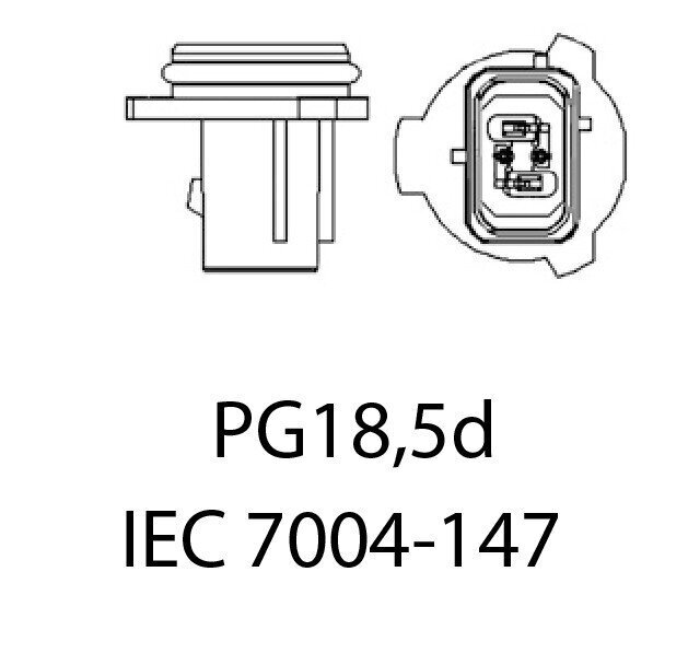 Auto LED Pirnid EinParts PSX26W 6000K 12/24V - 2 tk цена и информация | Autopirnid | kaup24.ee