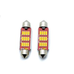 Auto LED Pirnid EinParts C10W Festoon 42mm 5000K CanBus 12/24V - 2 tk hind ja info | Autopirnid | kaup24.ee