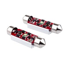 Auto LED Pirnid EinParts C10W Festoon 42mm 6000K CanBus 12V - 2 tk цена и информация | Автомобильные лампочки | kaup24.ee