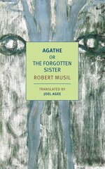 Agathe, or the Forgotten Sister цена и информация | Фантастика, фэнтези | kaup24.ee