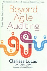 Beyond Agile Auditing: Three Core Components to Revolutionize Your Internal Audit Practices цена и информация | Книги по экономике | kaup24.ee