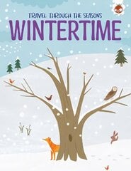 Wintertime: Travel Through The Seasons hind ja info | Noortekirjandus | kaup24.ee