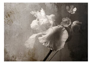 Фотообои с инструментом и клеем - Винтажные цветы, 400x280 см цена и информация | Фотообои | kaup24.ee