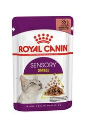 Royal Canin Sensory Smell In Gravy, 85 г. цена и информация | Кошачьи консервы | kaup24.ee