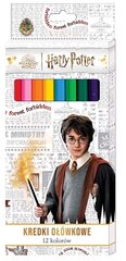 Карандаши Beniamin Harry Potter, 12 шт. цена и информация | Принадлежности для рисования, лепки | kaup24.ee