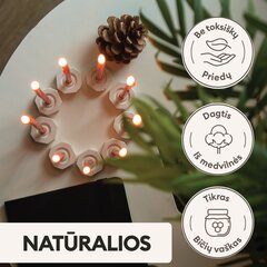 Mesilasvahast küünlad BlueBee Candles 40 tk + 2 alust küünalde jaoks hind ja info | Küünlad, küünlajalad | kaup24.ee