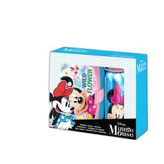 Komplekt: Alumiiniumist veepudel + Minnie Mouse lõunakarp цена и информация | Посуда для хранения еды | kaup24.ee