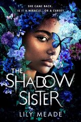 Shadow Sister цена и информация | Книги для подростков и молодежи | kaup24.ee