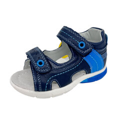 Poiste sandaalid Clibee, sinine hind ja info | Laste sandaalid | kaup24.ee