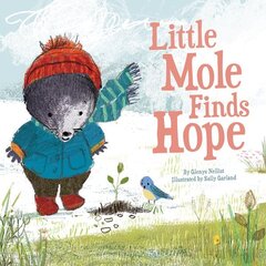 Little Mole Finds Hope hind ja info | Noortekirjandus | kaup24.ee