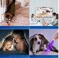 Kassi ja koera mänguasi - laser Evewell цена и информация | Mänguasjad kassidele | kaup24.ee