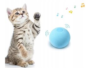 Игрушка для кошек представляет собой синий шарик, который издает звуки пения разных птиц. цена и информация | Игрушки для кошек | kaup24.ee