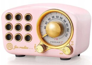 Feegar Retro, roosa цена и информация | Радиоприемники и будильники | kaup24.ee